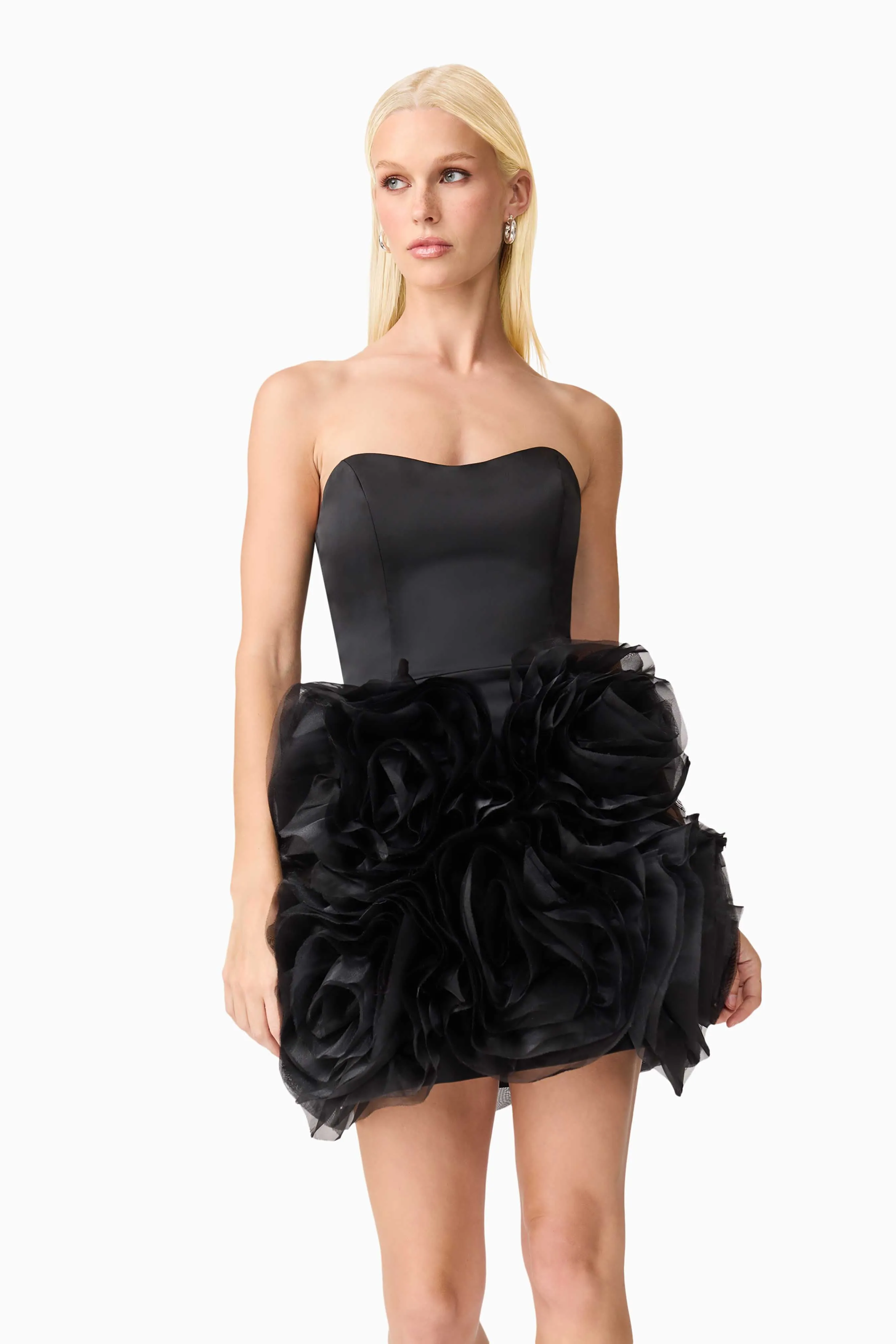 Sheer Overlay Panelled-Design Asher Strapless Mini Dress in Black