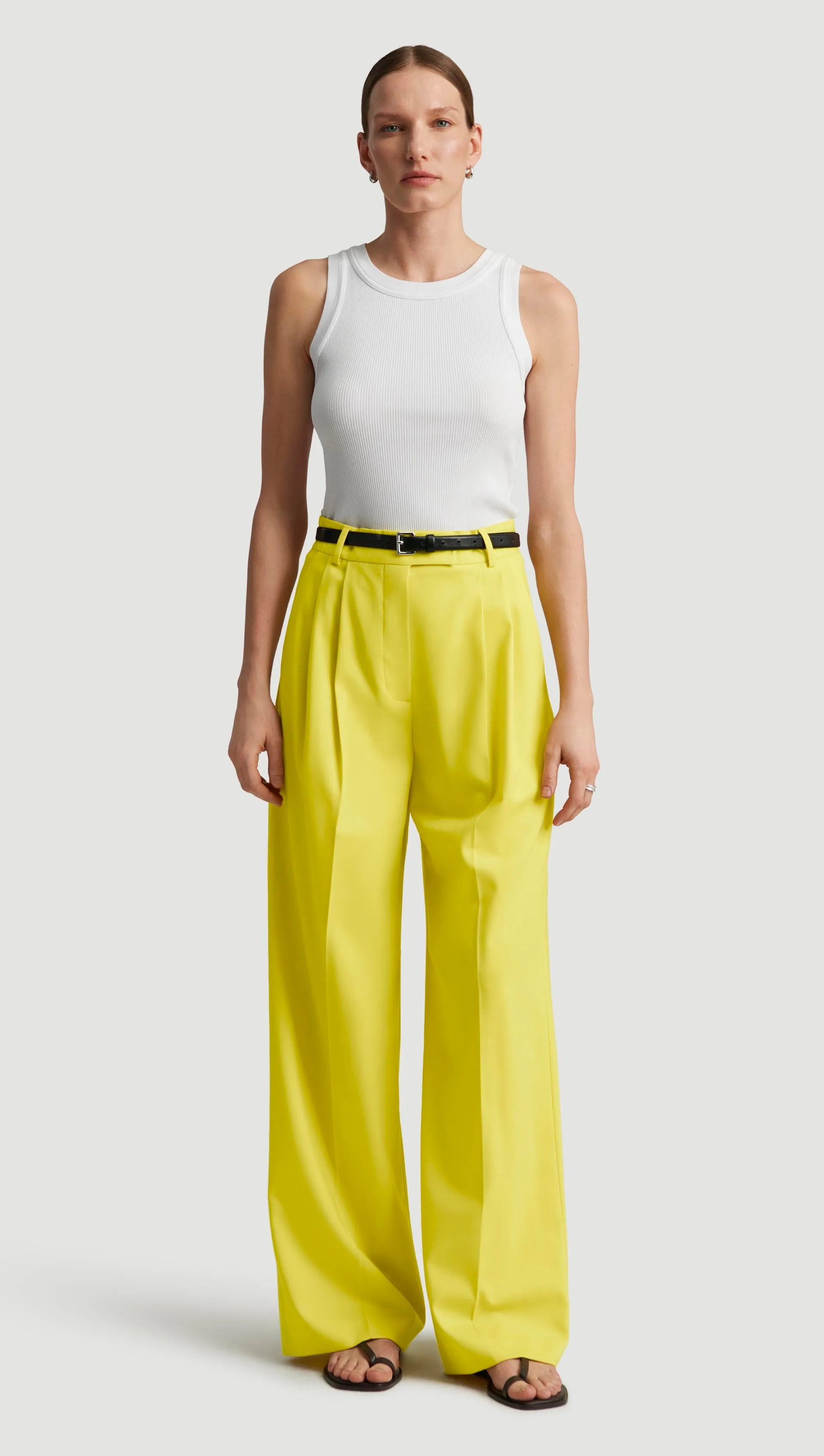 Pleated Trouser in Seasonless Wool | Lemon All Occasion Casual Comfort Wear