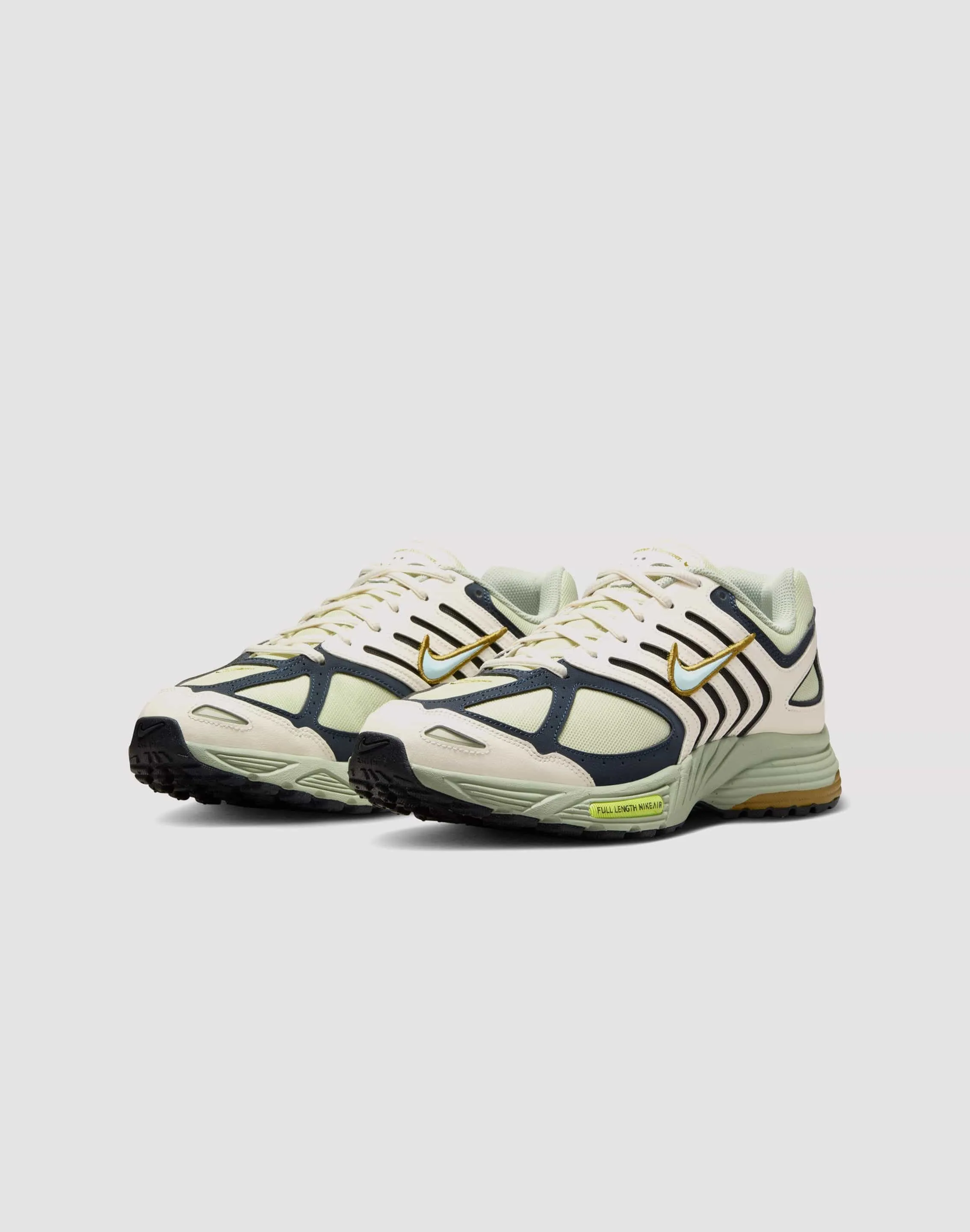 Flexibility Boost Indoor - exercise Nike Air Pegasus 2005