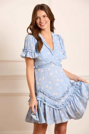 Rose Ditsy Satin V-Neck Micro Mini Dress Mesh Soft