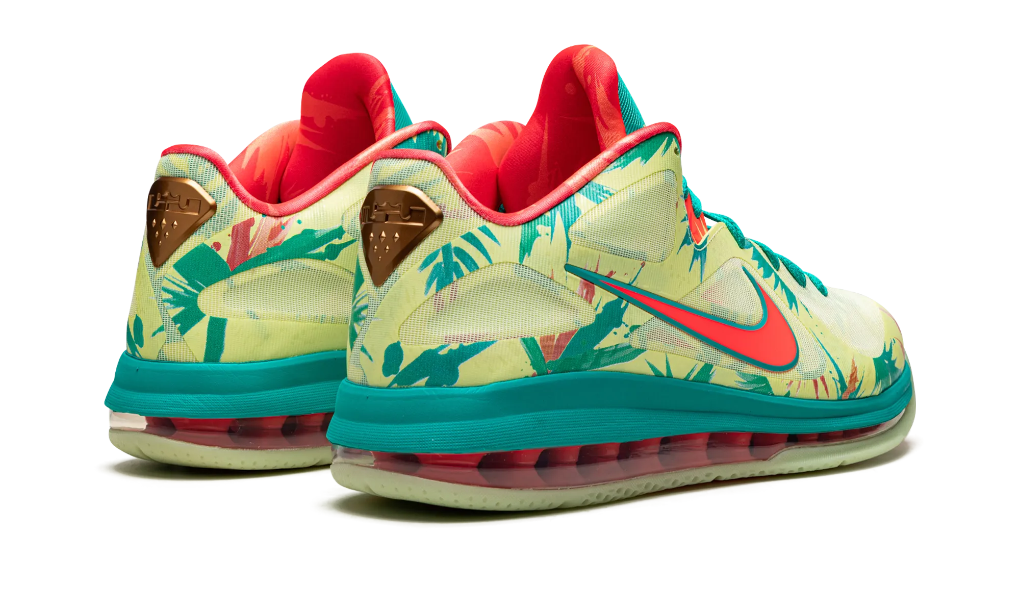 LeBron 9 Low "LeBronald Palmer" Foot Training